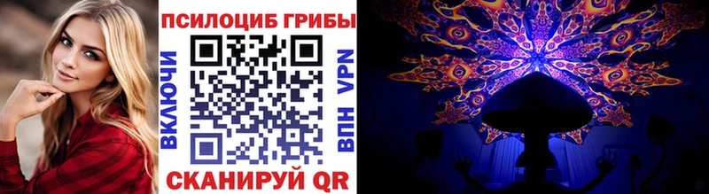 сколько стоит  ОМГ ОМГ как войти  Псилоцибиновые грибы Cubensis  Яранск 